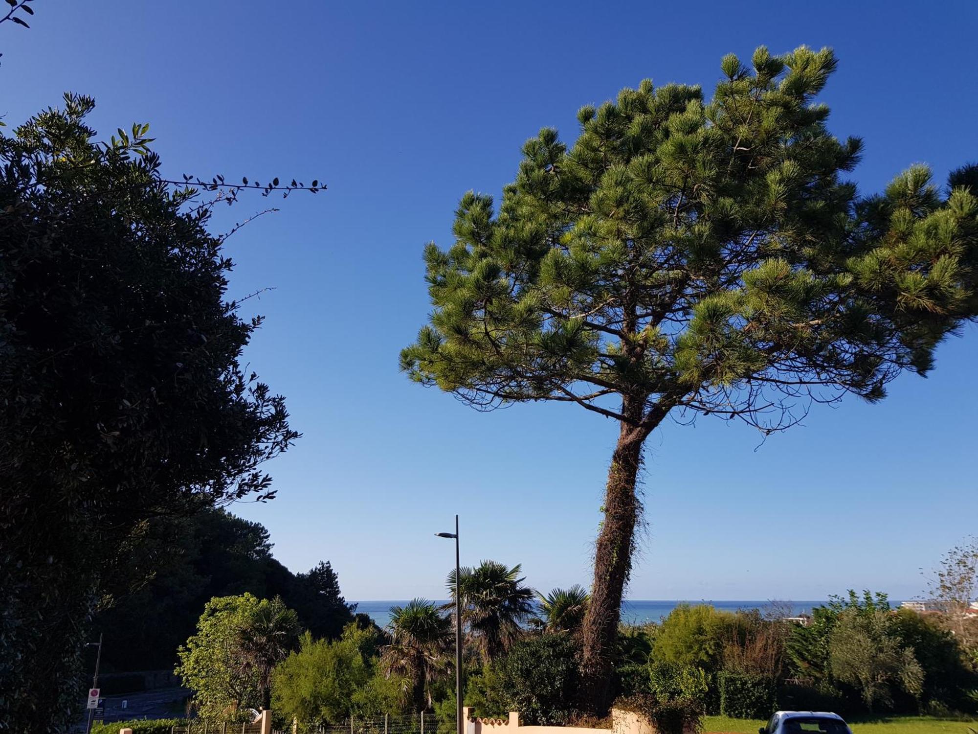 Studio Dans Residence De Standing Avec Parking Et Sa Terrasse Vue Mer Bidart Exterior foto